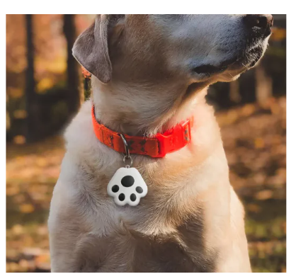 PawTrace Tracker