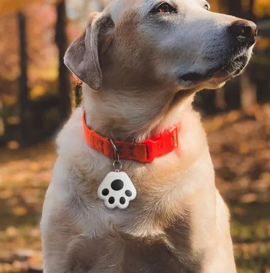 PawTrace Tracker